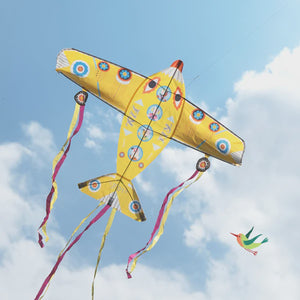 Djeco Maxi Plane Kite