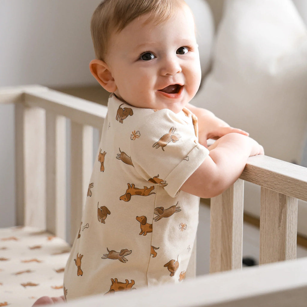Lummi in Colour Organic Cotton Romper - Dachshund Dog