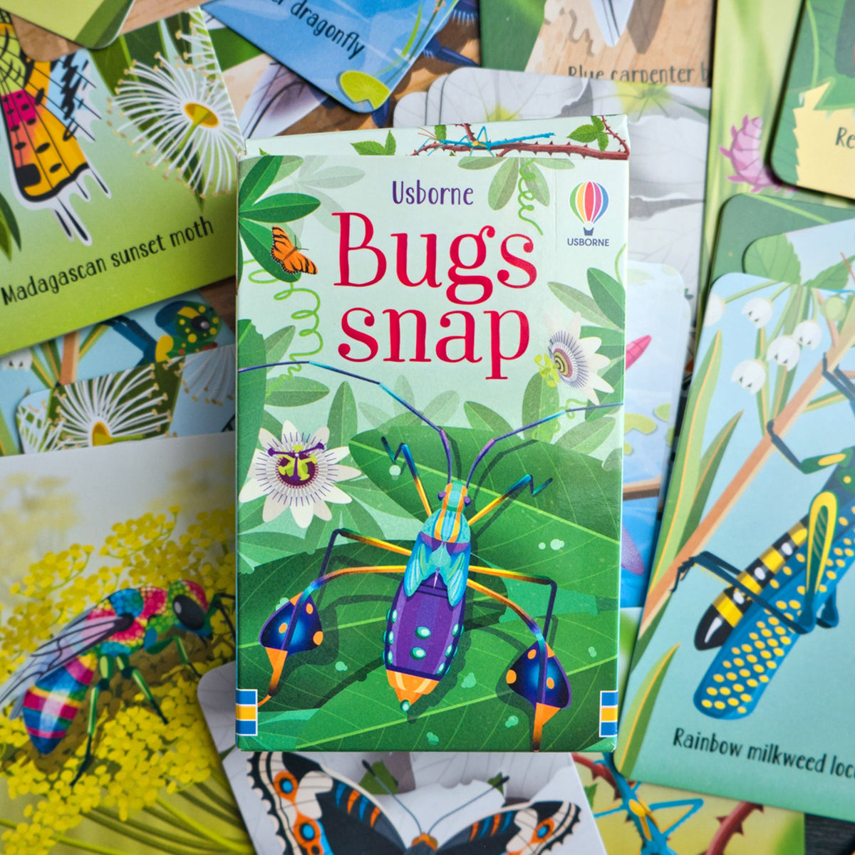 Usborne Bug Snap