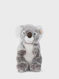 WWF Koala