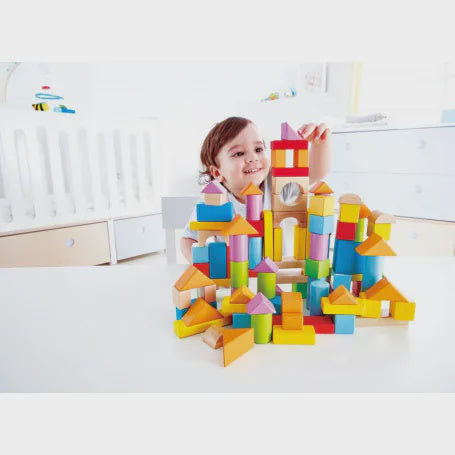 Hape 101pcs Wonderful Blocks