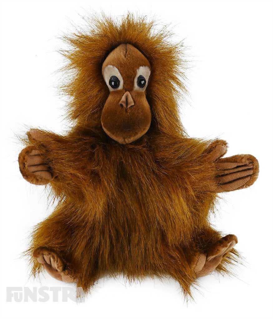 Hansa Orangutan