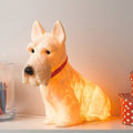 Heico Scotty Dog Night Lamp