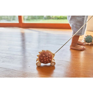 Plan Toys Pull-Along Hedgehog