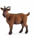 Schleich Goat