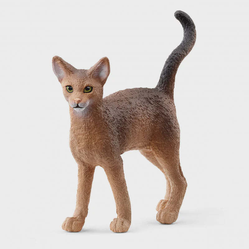 Schleich- Abyssinian Cat
