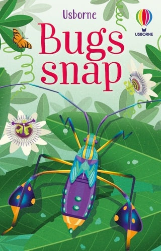 Usborne Bug Snap